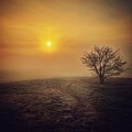 Misty Morning