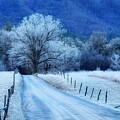 Sparks Lane Snow